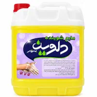 مایع دستشویی لباسشویی و ظرفشویی دلوین