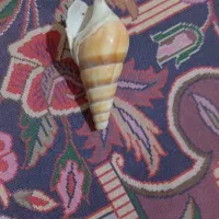 سیم کارت 0912 خط ثابت کد 4