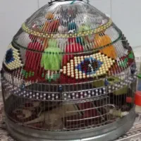 قفس با جهازش