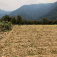 زمین کشاورزی