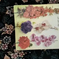 کتاب|کتاب و مجله آموزشی|شیراز, شهرک مطهری|دیوار