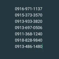 09139333820