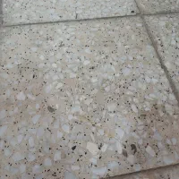 شست‌وشو و نظافت