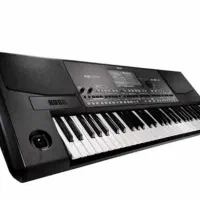 ارگ PA600