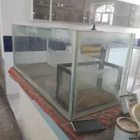اکواریوم