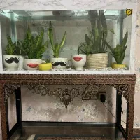 آکواریوم بزرگ با پایه فرفروژه زیبا