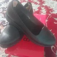 کفش چرم