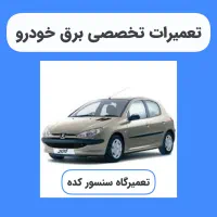 باطریسازی برق خودرو 206 / 207 / رانا (مالتی پلکس)