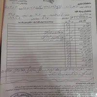 پژو ۲۰۶|خودرو سواری و وانت|شیراز, بعثت|دیوار