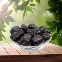 آمادگی همکاری صادرات خرما
