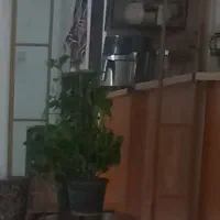 آینه قدی نو و سالم
