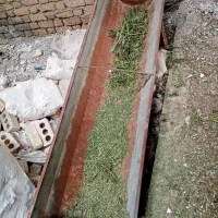 آبخوری گوسفند
