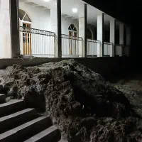 مشارکت با پروانه