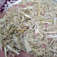 کاه|لوازم جانبی حیوانات|گلبهار, بیزکی|دیوار