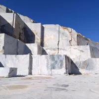 راننده بیل
