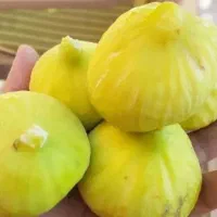 مربای انجیر خانگی مستقیم از باغدار