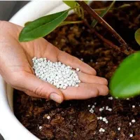 کود اورگانیک جایگزین کودهای شیمیایی