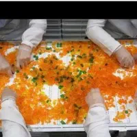بسته بندی