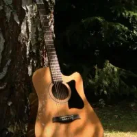 خواننده و نوازنده حرفه ای مراسم