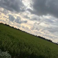 زمین-کشاورزی-در-شهرک-صنعتی