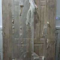 در اتاق چوبی