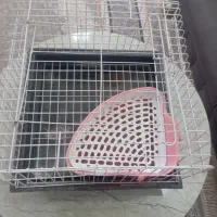 قفس گربه و خرگوش