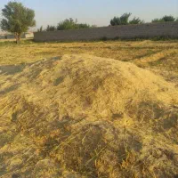 فروش کاه گندم وجو کمباین  کیلویی7 تومن در اهر