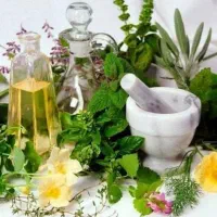 دانش آموختگان طب سنتی