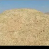 کاه گندم کماپین ریز