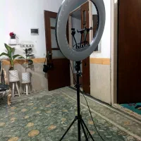 رینگلایت