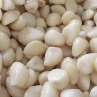 سیر پاک شده