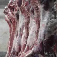 گوشت ومرغ عمده صنعتی وخمیرمرغ
