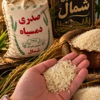 برنج ایرانی به شرط پخت و ضمانت مرجوعی