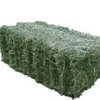 یونجه درجه یک