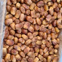 زاهدی درجه یک