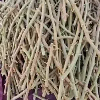 ترکه پسته