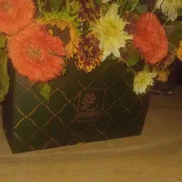 سبدگلطبیعی|گل و گیاه طبیعی|تهران, تجریش|دیوار