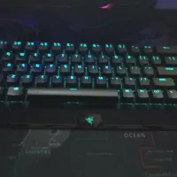razer black widow v3 mini