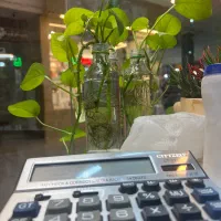 فروشنده خانم