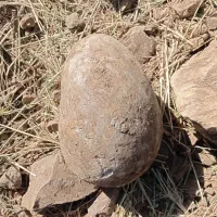 سنگخاصوتزیینی