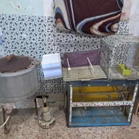قفس پرنده