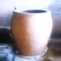 شاطر کبابی