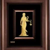 وکیل پایه یک دادگستری و مشاور حقوقی