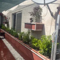 انواع گل و گیاه داخلی و بیرونی