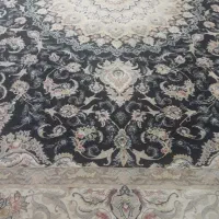 پاتریس ۷۰۰ شانه ۱۲متری