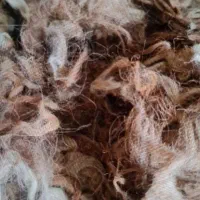 پشم گوسفند تمیز