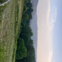 زمین-فروشی