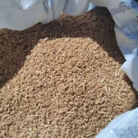 فروش یک تن گندم