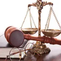 وکیل دادگستری، وکیل پایه یک و مشاور حقوقی