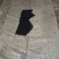 فرش